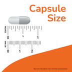 NOW Foods, 5-HTP, 100 mg, 60 Veg Capsules