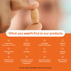NOW Foods, Candida Support, 90 Veg Capsules
