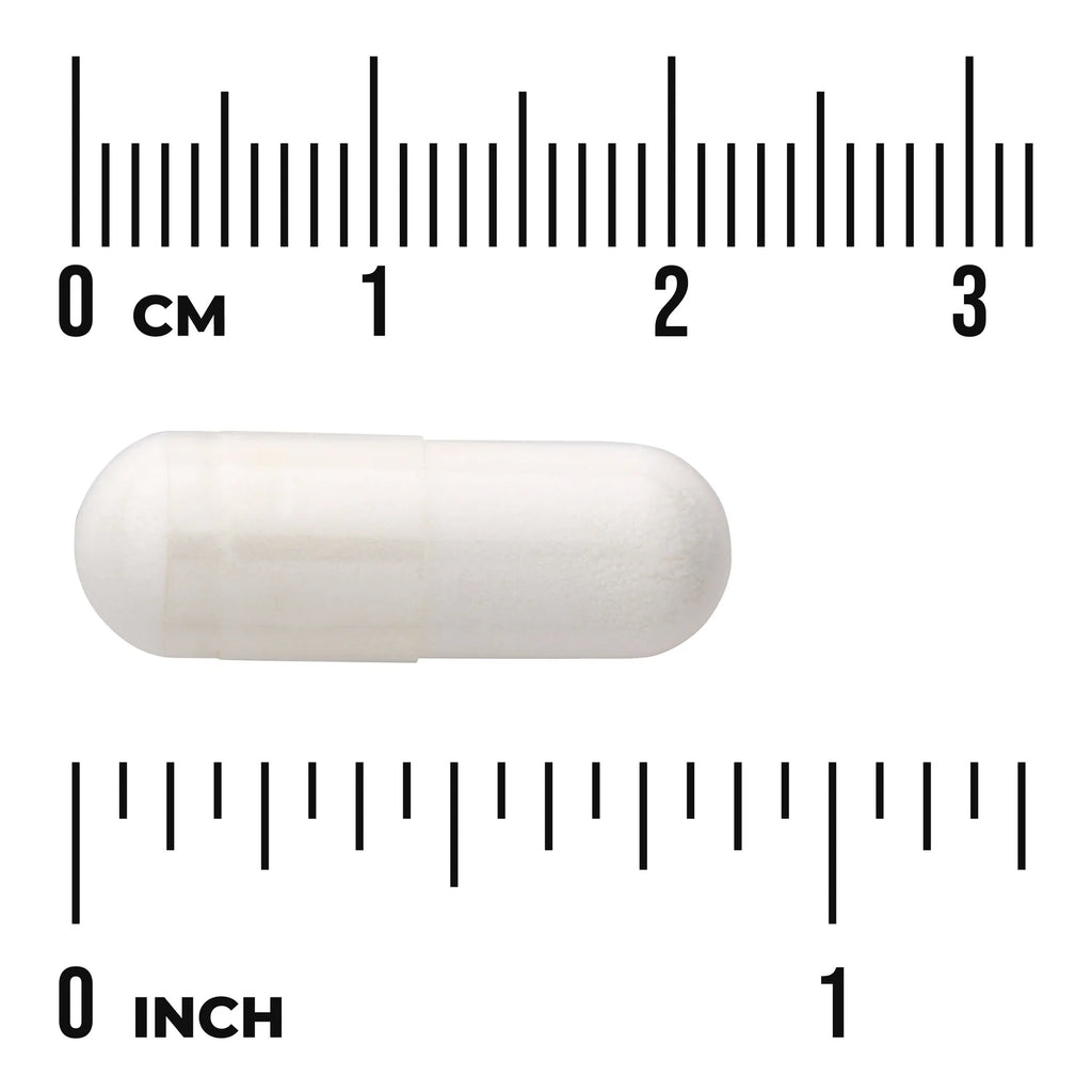 Swanson Lactobacillus Acidophilus