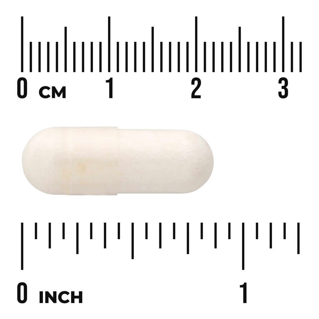 L. Reuteri Plus with L. Rhamnosus, L. Acidophilus & FOS