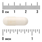 L. Reuteri Plus with L. Rhamnosus, L. Acidophilus & FOS