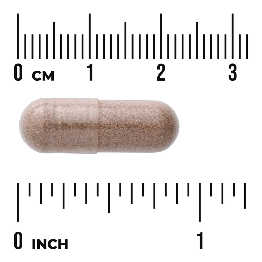 Swanson Full Spectrum Saw Palmetto