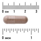 Swanson Full Spectrum Saw Palmetto