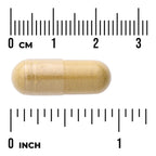 Swanson Full Spectrum Ginger & Turmeric 2-in-1