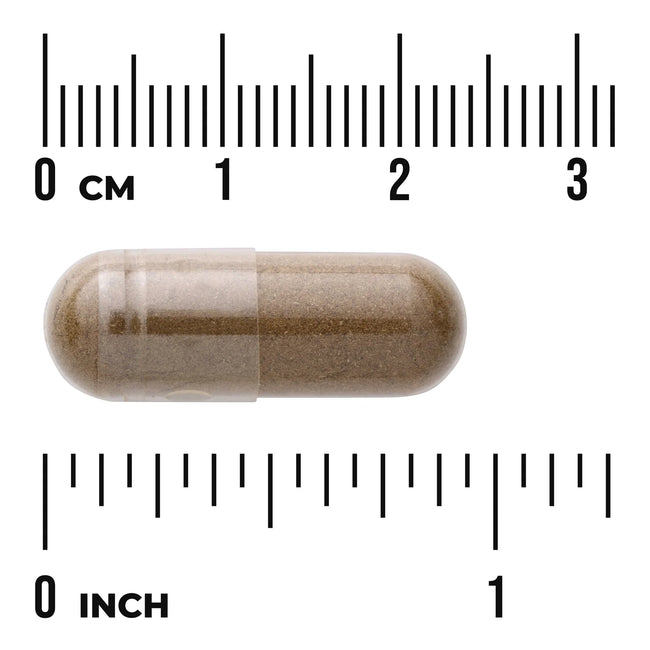 Swanson Celery Seed - Maximum Strength Main Image
