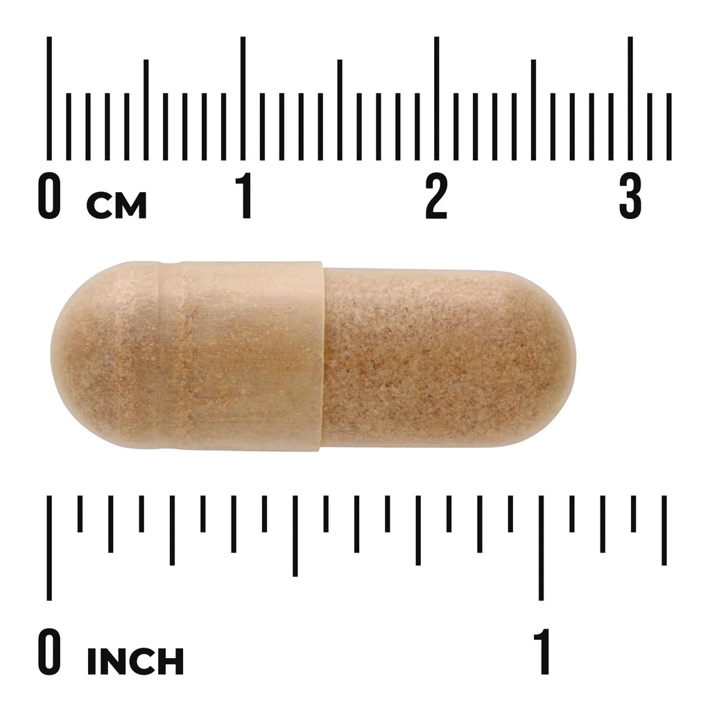 Swanson Ginkgo Biloba Extract - Standardized