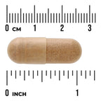 Swanson Ginkgo Biloba Extract - Standardized