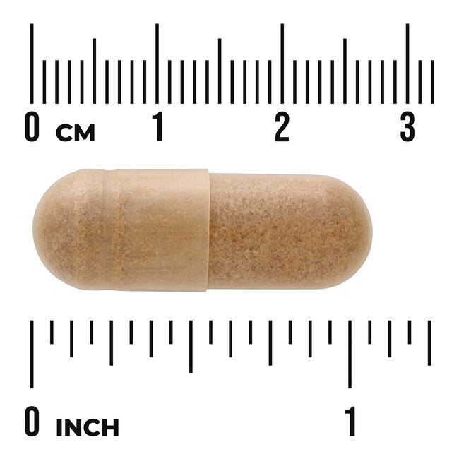 Swanson Ginkgo Biloba Extract - Standardized Main Image
