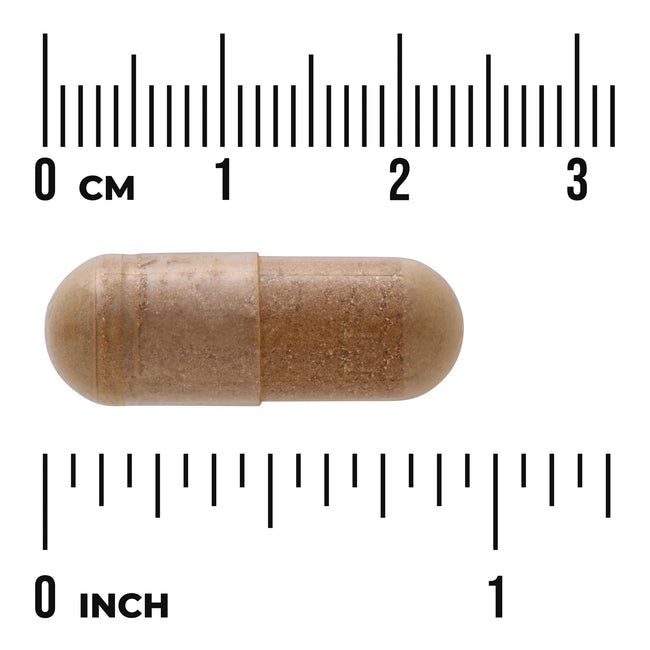 Swanson Full Spectrum Dandelion Root Main Image