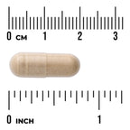 Swanson Green Coffee Bean