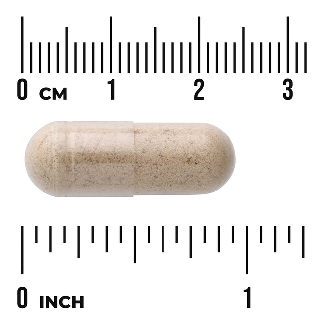 Swanson Full Spectrum Milk Thistle Main Image
