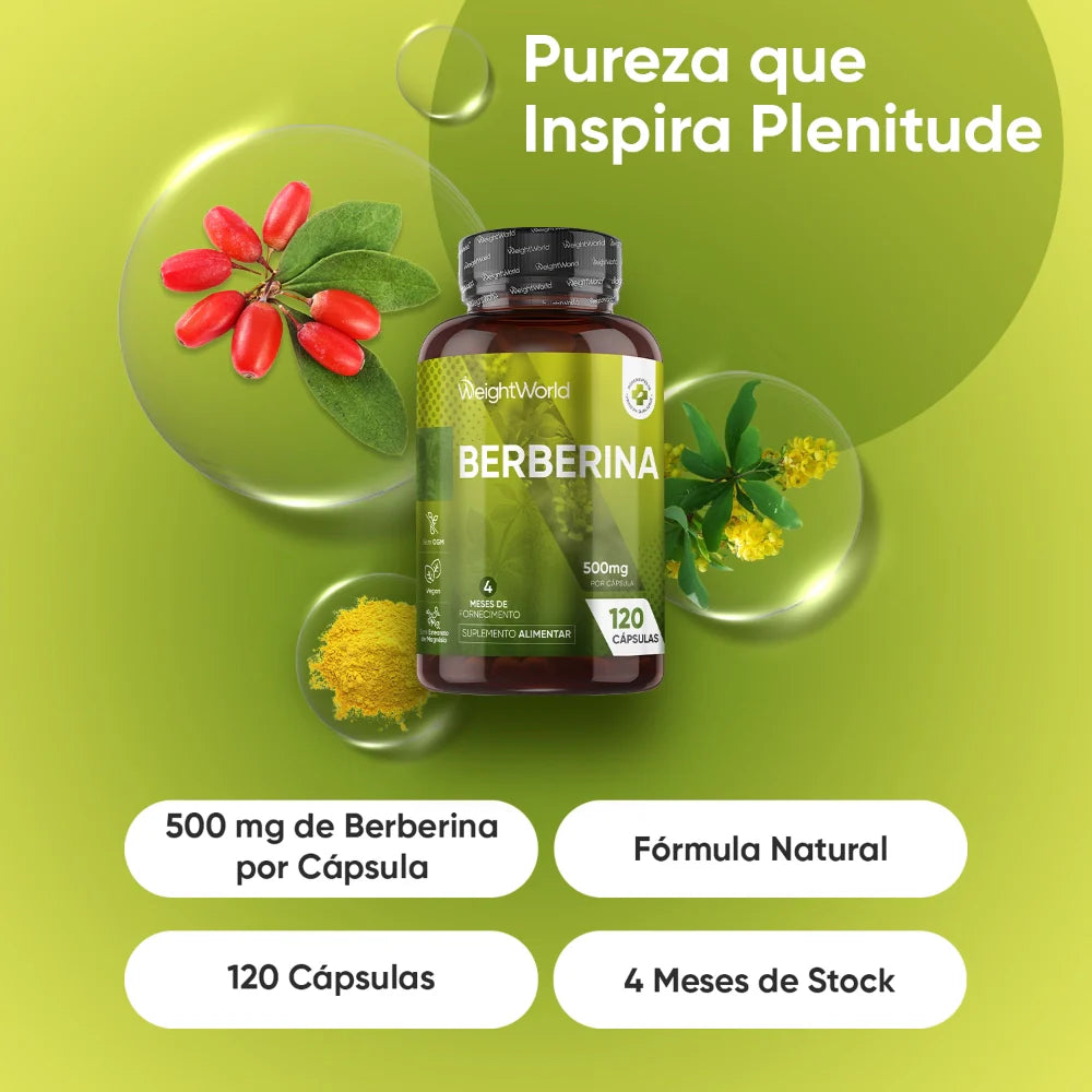 Berberine 500 mg
